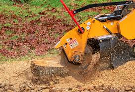Lawn Irrigation Installation and Maintenance in Pierce, CO